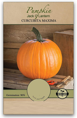Qualtivate ICRA-1A Jack O Lantern Non-GMO Seeds Seed(50 per packet)