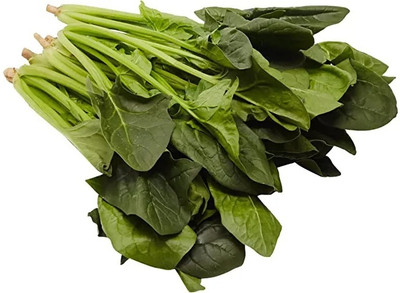 MYLAWN Organic Palak Spinach Seed(500 per packet)