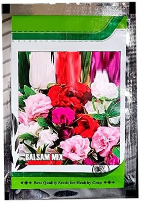 Qualtivate PAU-11 Balsam mixed Seeds Seed(25 per packet)