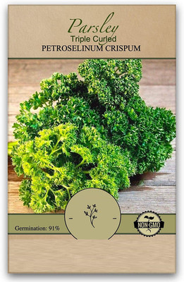 CYBEXIS ATS-16 - Parsley Triple Curled (Green) - (750 Seeds) Seed(750 per packet)