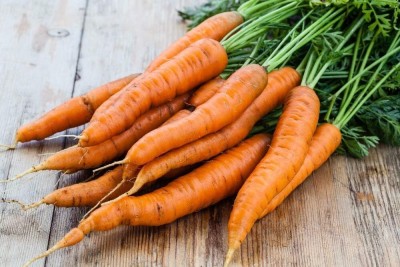 KNESSiN Carrot - Early Nantes [500 Seeds] Seed(500 per packet)