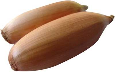 KNESSiN Oblonge Mini Onion Shallot-{1200 Seeds} Seed(1200 per packet)