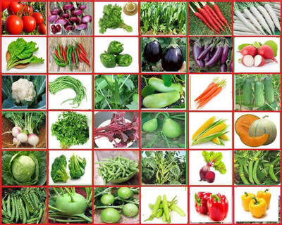 ibains Vegetable plant seeds combo Seed(770 per packet)