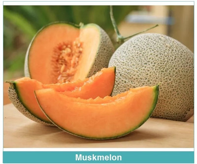 Quentova Muskmelon Sweet Melon-GBPUT-10B Seed(150 per packet)