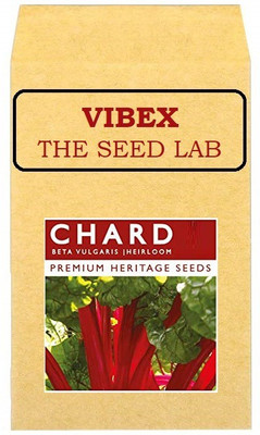 CYBEXIS Heirloom Swiss Chard Hybrid Seeds-250 Seeds Seed(250 per packet)