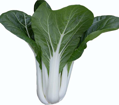 WILLVINE VMR -VII Cabbage Seeds - Pak Choi - Tall White Stem [2.5g] Seed(750 per packet)