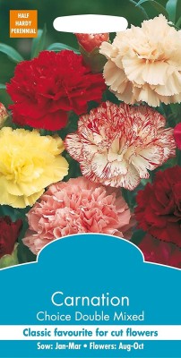 CYBEXIS Carnation Giant Chabaud Double Mixed Seed(1 g)