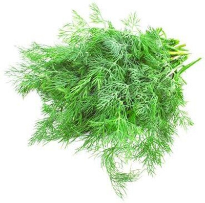 XOLDA Organic soya dill Seed(38 per packet)