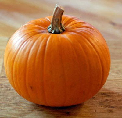 CYBEXIS PAU-96 - PUMPKIN - Large Round Hybrid - (300 Seeds) Seed(300 per packet)