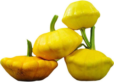 CYBEXIS Yellow Bush Scallop Summer Squash Seeds2000 Seeds Seed(2000 per packet)