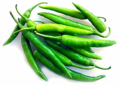 WILLVINE KGF -IV Vegetable Seeds | Green Chilli[10gm, 2000 Seeds] Seed(2000 per packet)