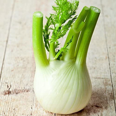 VibeX LX-98 - Fennel Florence - (2250 Seeds) Seed(2250 per packet)