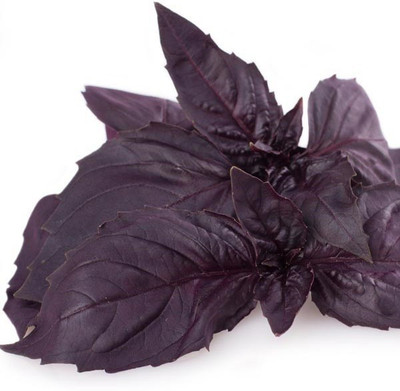 VibeX ® VMR-17 Amethyst Improved Purple Basil Seed(1000 per packet)