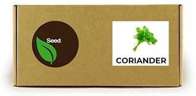 CYBEXIS Coriander600 Seeds Seed(600 per packet)
