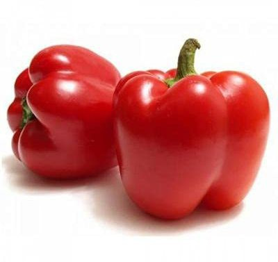 CYBEXIS PAU-45 - Capsicum Red Colour - (1350 Seeds) Seed(1350 per packet)