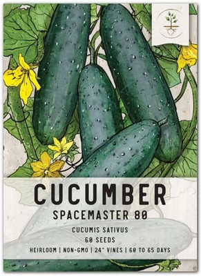 VibeX TLX-75 - Spacemaster 80 Cucumber - (1350 Seeds) Seed(1350 per packet)