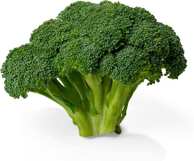 WILLVINE LX-559 Broccoli Cavolo Broccolo Calabrese Seed(200 per packet)