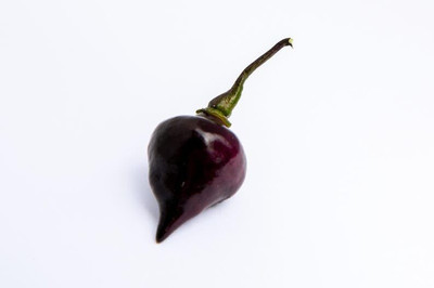 KNESSiN Disease-Resistant Black Little Beak Pepper Seeds For Planting-(300 Seeds) Seed(300 per packet)