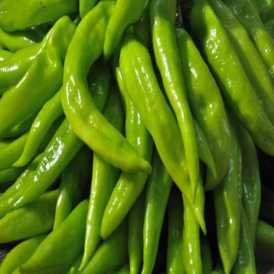 BDSresolve hybrid chilli seeds for all season Seed(81 per packet)