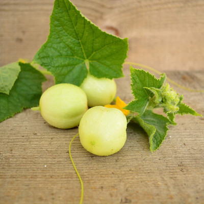 Qualtivate RES-1A Lemon Cucumber Heirloom Seed(300 per packet)