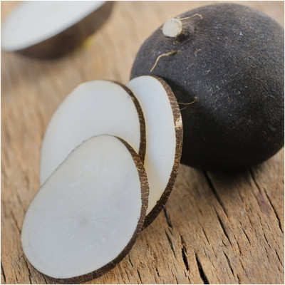 CYBEXIS XL-29 - Black Spanish Radish (Raphanus sativus) - (2250 Seeds) Seed(2250 per packet)