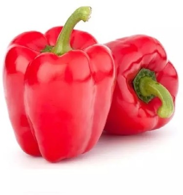 Quentova Capsicum Red Organic-6H-PUAS Seed(75 per packet)