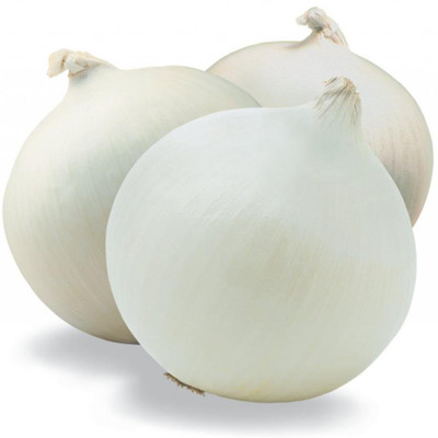 KANAYA Onion White Kanda Vegetable Seed(80 per packet)