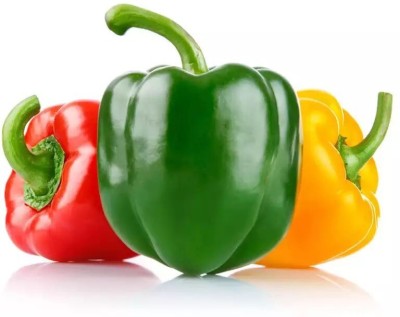 Quentova (Mixed) Capsicum/Shimla Mirch/Bell Pepper Seed(100 per packet)