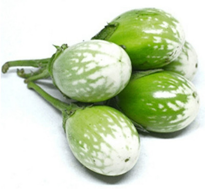 UGRA Quality Vangi Brinjal Seed(100 per packet)