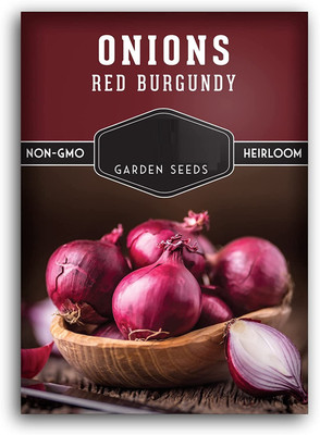CYBEXIS NDIR-51 - Red Burgundy Onion - (4500 Seeds) Seed(4500 per packet)