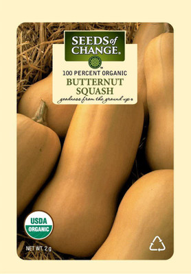 VibeX ® VMR-22 Butternut Squash, Yellow Seed(100 per packet)