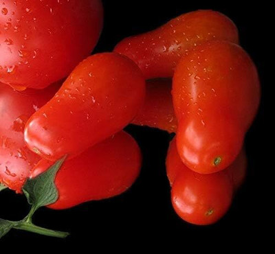 Biosnyg Organic San Marzano Tomato Seeds For Gardening - (2000 Seeds) Seed(2000 per packet)