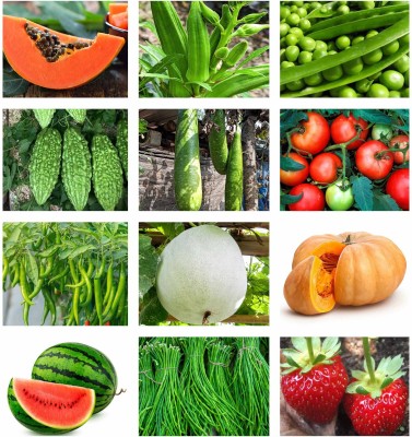 abiswas 12 Variety Vegetable Combo Pack for Garden - Fresh Seeds for Home Garden Seed(1600 per packet)