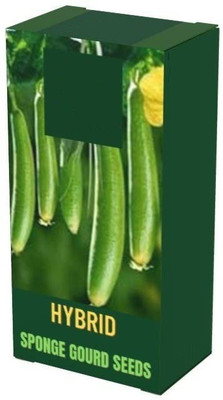 WILLVINE LX-165 F1 HYBRID SPONGE GOURD | SURBHI Seed(50 per packet)