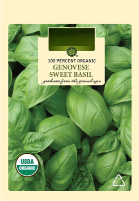 VibeX ATS-84 - Genovese Sweet Basil - (4500 Seeds) Seed(4500 per packet)