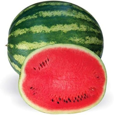 Qualtivate HYB-9A Crimson Sweet Heirloom Watermelon Seeds Seed(100 per packet)