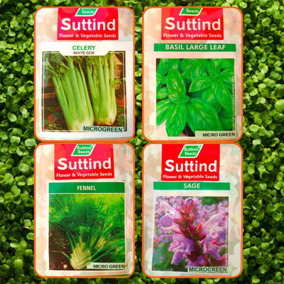 CYBEXIS CELERY, BASIL, FENNEL & SAGE Microgreens Seed(10 g)