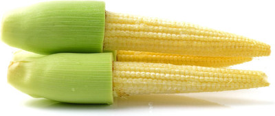 WILLVINE PUSA -II “Japanese Hulless” Popcorn or “Baby Corn”-[1Kg] Seed(4000 per packet)