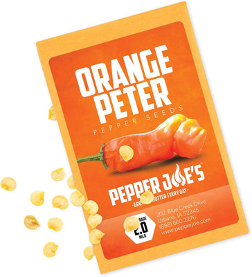 Qualtivate PUA-2A Orange Peter Pepper Chilli Seed(300 per packet)