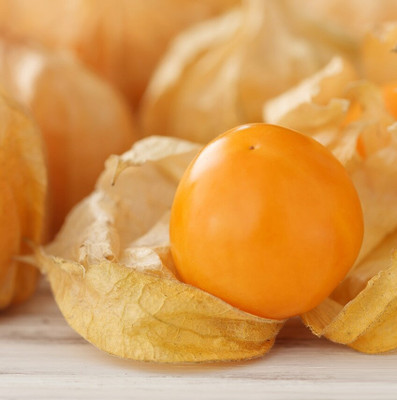 QALANDAR Cherry Husk - Cape Gooseberry Seed(20 per packet)