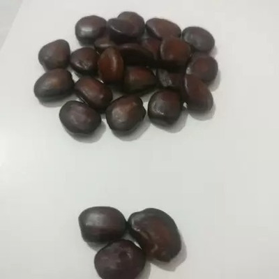 MAA Tamarind, Imli Seed(82 per packet)