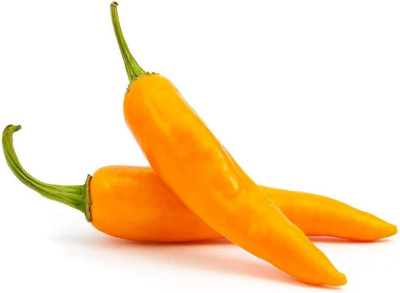 KNESSiN Mixed Colors Chilli Seed(1250 per packet)