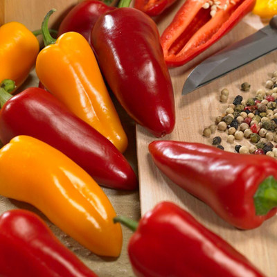 KNESSiN Heirloom Pillar Trio Capsicum Seeds for Terrace Gardening-(100 Seeds) Seed(100 per packet)