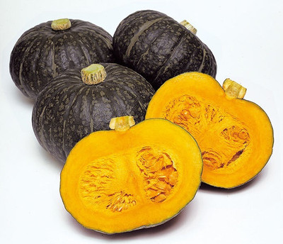 Quentova Green mini Beibei pumpkin-XLI-3W Seed(75 per packet)