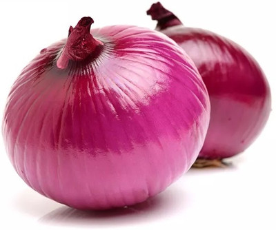 Quentova Nasik Onion-RJ-5N Seed(300 per packet)