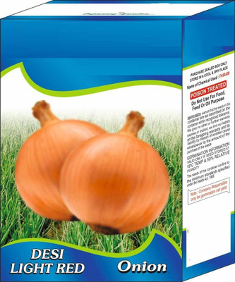 VibeX ® XLR-982 Onion Seeds (Light Red) Seed(1000 per packet)