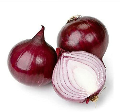 CYBEXIS Onion Red Onion Seeds 4000 Seeds Seed(4000 per packet)