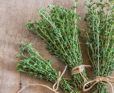 CYBEXIS LXI-5 - Garden - Thyme - (1350 Seeds) Seed(1350 per packet)