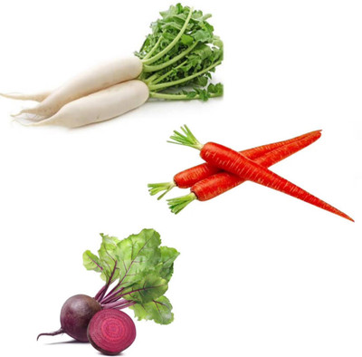 PSAgroinput Mooli(Radish)-Gajar(Carrot)-Chukandar(Beetroot) pack of 3 Seed(100 g)