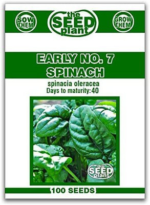 CYBEXIS LX-98 - Early No.7 Spinach - (750 Seeds) Seed(750 per packet)